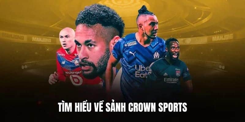 Đôi nét khái quát về Crown sports