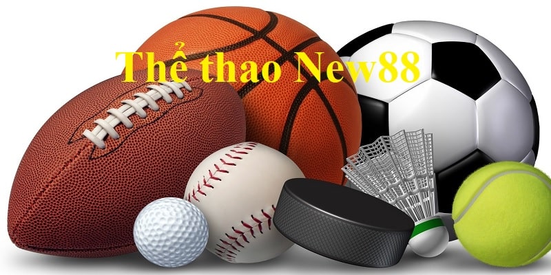 Tìm hiểu sảnh thể thao New88