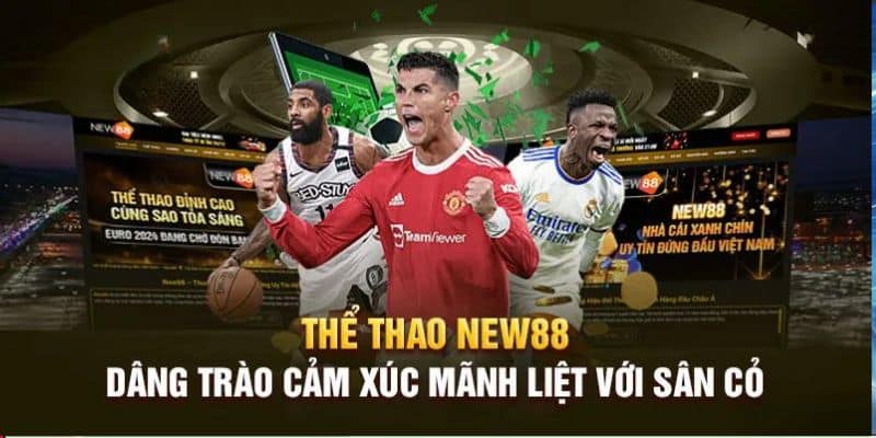 Trang thể thao trực tuyến New88