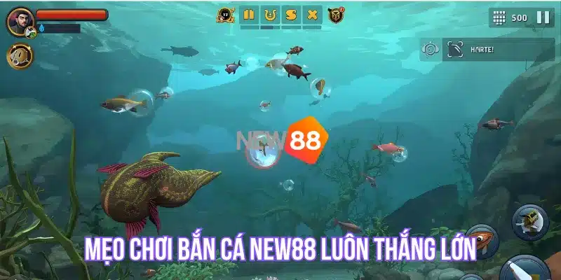 Mẹo chơi Bắn Cá NEW88 luôn thắng lớn